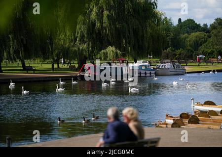 Die Menschen beobachten, wie Schwäne den Fluss Avon in Stratford-upon-Avon, Warwickshire, hinunterfahren. Bilddatum: Montag, 13. Juni 2022. Stockfoto