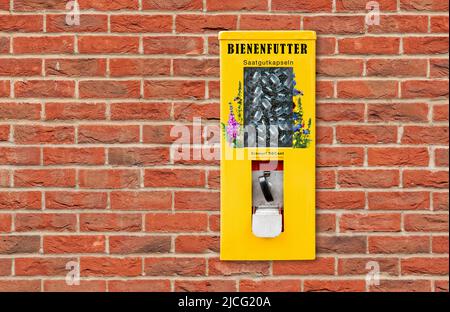 Samenkapseln im Automat für Wild- und Honigbienen gegen Artensterben (M) Stockfoto