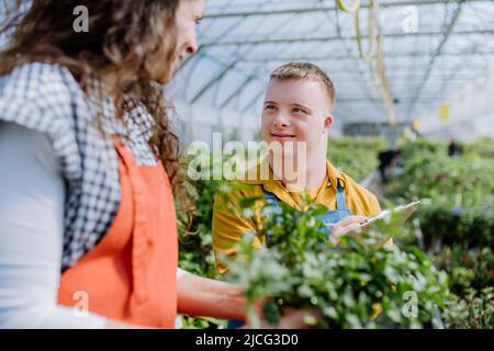 Erfahrene Frau Floristin hilft jungen Angestellten mit Down-Syndrom im Gartencenter. Stockfoto