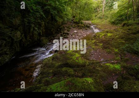 Kleine Wasserfälle und glatte Felsen am Fluss Afon Pyrddin in der Nähe von Pontneddfechan, Südwales, Großbritannien, bekannt als Waterfall Country Stockfoto