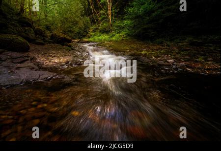 Kleine Wasserfälle und glatte Felsen am Fluss Afon Pyrddin in der Nähe von Pontneddfechan, Südwales, Großbritannien, bekannt als Waterfall Country Stockfoto