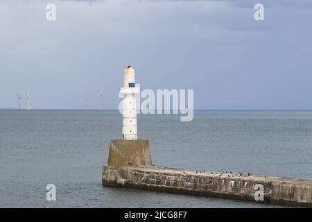 Aberdeen Wellenbrecher Stockfoto
