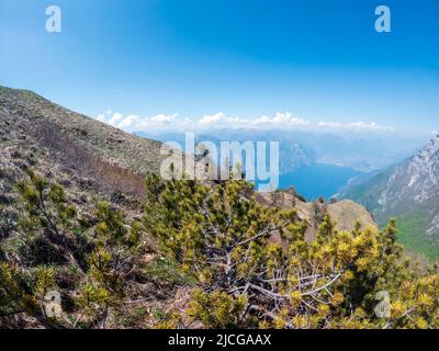 Monte Baldo Gebirge in den italienischen Alpen im Sommer, in den Provinzen Trient und Verona, Italien, Europa Stockfoto