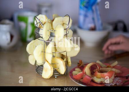 Ausgefallener, kreativer Stahl-Fruchttrockner. Stockfoto