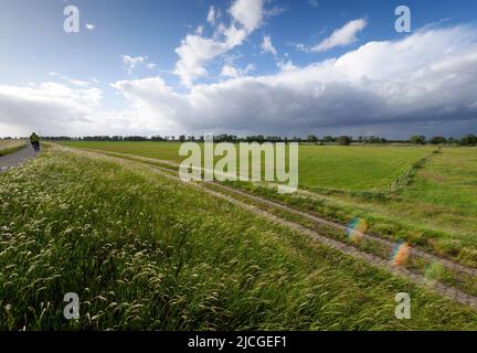 27. Mai 2022, Brandenburg, Lenzen (Elbe): Ein Mann fährt mit dem Fahrrad in der Nähe des Fähranlegers Pevestorf-Lenzen auf dem Deich bei den Elbwiesen. Foto: Soeren Sache/dpa Stockfoto
