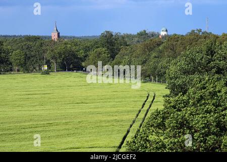 27. Mai 2022, Brandenburg, Lenzen (Elbe): Die Wiesen am Elbdeich nahe der Anlegestelle der Fähre Pevestorf-Lenzen vor der Kulisse der Türme von Schloss Lenzen (r) und St. Katharinenkirche. Foto: Soeren Sache/dpa Stockfoto