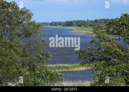 27. Mai 2022, Brandenburg, Lenzen (Elbe): Die Elbe in der Nähe der Anlegestelle der Fähre Pevestorf-Lenzen. Foto: Soeren Sache/dpa Stockfoto