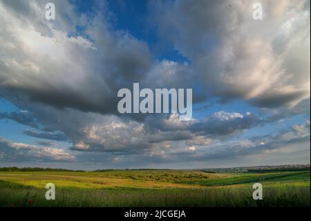 Roggenohren auf dem Feld, Nahaufnahme und Abendhimmel mit Wolken Stockfoto