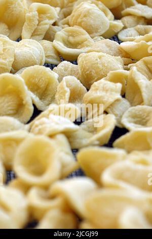 Nahaufnahme der frischen handgefertigten apulischen orecchiette Pasta. Typisch italienische Pasta Rezept Stockfoto