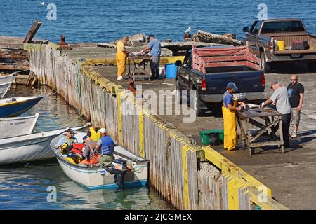 Fishermen Wharf, Bonavista, neufundland Stockfoto