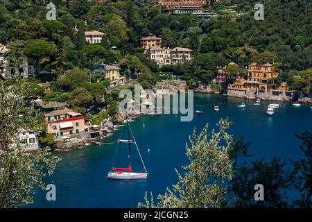 Luftaufnahme von Yachten und Booten in der Bucht von Portofino in Ligurien, Italien. Stockfoto