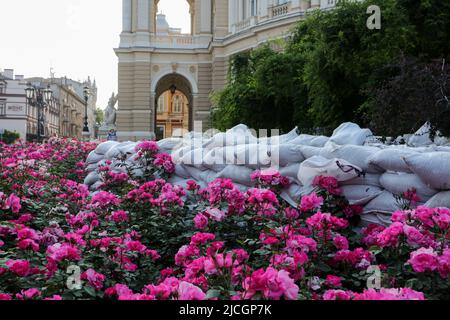 Odessa, Ukraine. 12.. Juni 2022. Die Blüte von Rosen und Barrikaden von Sandsäcken in der Nähe des Gebäudes der Odessa State Academic Opera and Ballet Theatre inmitten der russischen Invasion der Ukraine. Kredit: SOPA Images Limited/Alamy Live Nachrichten Stockfoto