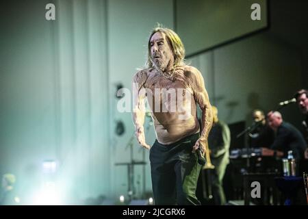 Iggy Pop auf der Bühne bei Filadelfia in Stockholm, Schweden, 10. Juni 2022.Foto: Andreas Bardell / Aftonbladet / TT Code 2512 Stockfoto