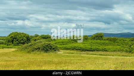 Teil des Kenfig Nature Reserve South Wales mit Port Talbt Steel Works im Hintergrund Stockfoto