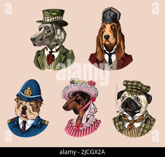 Pug Dog raucht Zigarre im Anzug. Englischer Bulldog Polizist. Herding und Bloodhund und Deutsch Kurzhaar Zeiger und Dachshund. Fashion Animal Stock Vektor