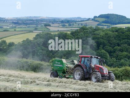 Großbritannien Wetter: 13 Jun 2022, teilweise bewölkt, trocken und heiß. Farlacombe, Devon, Großbritannien. Kredit: Will Tudor/Alamy Live Nachrichten Stockfoto