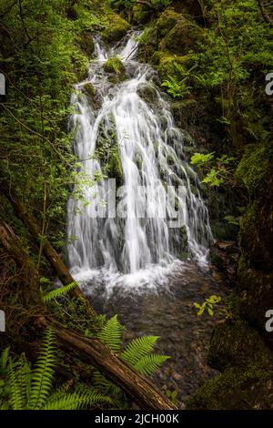 Ein Wasserfall auf Tom Gill direkt unterhalb von Tarn Hows, Lake District, England Stockfoto