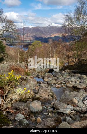 Blick von der Ashness Bridge über Derwentwater in Richtung Skiddaw-Schnee im Frühling im Spätwinter in der Nähe des Keswick Lake District National Park Cumbria England Stockfoto