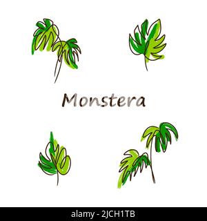 Monstera Set, Linienzeichnung, grüne Farbe, große Blätter, Natur, Blume Acryl Malerei Doodle Stil Stock Vektor