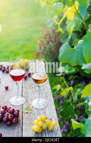 Gläser mit Weiß- und Rotwein und Traubenbeeren auf dem Holztisch in den Weinbergen, Weingut mit grünen Blättern Hintergrund im Sonnenuntergang Licht. Weinprobe Stockfoto