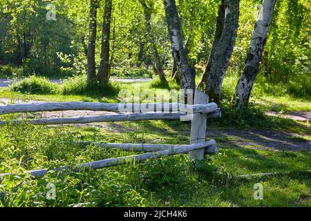 Korral aus weiß bemalten Baumstämmen am Waldrand Stockfoto