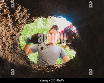 Frau, die eine Blume aus dem Boden gesäumt Loch gepflanzt. Stockfoto