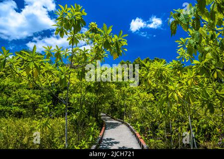 Emerald Pool, Yosemite National Park, Krabi, Thailand, Path Trou Stockfoto