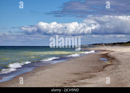 Weltmeer pollutionю Algen blühen am Meer. Leuchtet auf der Wasseroberfläche. Stockfoto