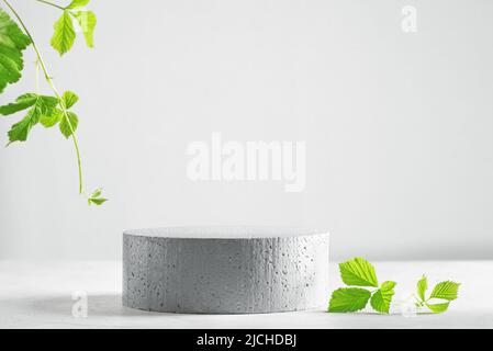 Leeres Steinpodium und grüne Blätter von Pflanzen auf grauem Hintergrund, Szene mit Platz für die Präsentation der Produkte. Leeres, modernes, minimalistisches Konzept Stockfoto