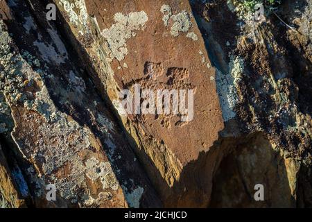 Gezeichnete Figuren auf der Steinmauer. Felsmalerei in Berg der Republik Altai, Russland Stockfoto