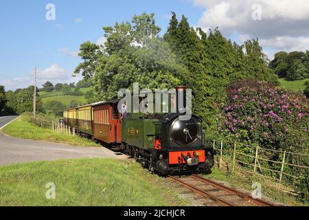 Der Earl steht am 11,6.22 im Abendlicht auf der Golfa Bank. Der Earl steht am 11,6.22 im Abendlicht auf der Golfa Bank. Stockfoto