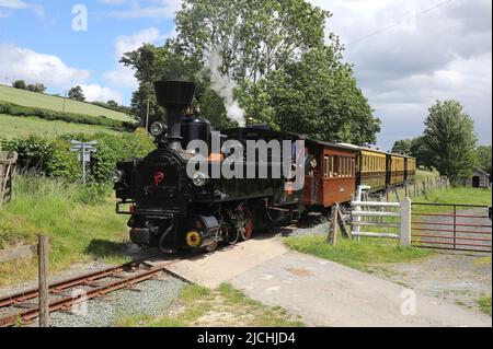 Zillertal No2 fährt auf der Welshpool & Llanfair Bahn auf die Golfa Bank. Stockfoto