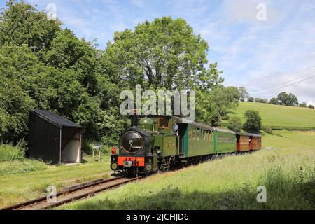 822 nähert sich Heniarth mit der Welshpool & Llanfair Railway. Stockfoto