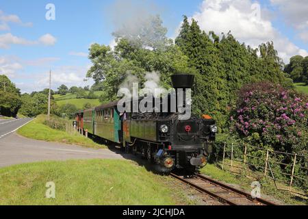 Zillertal No2 führt am 11,6.22 die Golfa-Bank an die Spitze. Stockfoto