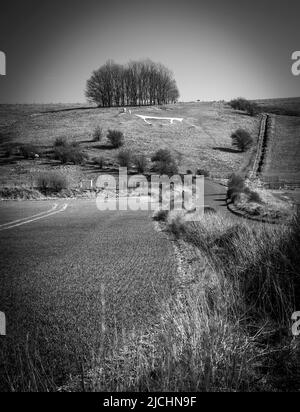 Das Hackpen White Horse auf den Marlborough Downs, Wiltshire, Großbritannien Stockfoto