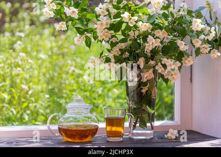 Köstlicher heißer Tee auf der Fensterbank zu Hause am Sommertag in der Nähe des Gartens und ein schönes Bouquet von Jasminblüten aus nächster Nähe. Heißer schwarzer Tee in einem Glastee Stockfoto