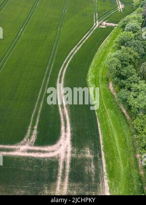 Traktorspuren in einem grünen Feld von Weizenernte aus der Luft gesehen, Warwickshire, England. Stockfoto