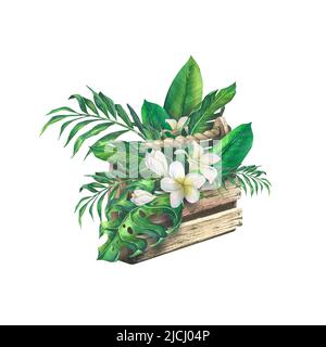 Aquarell-Illustration einer Holzkiste mit tropischen Blättern und Plumeria-Blüten. Für die Gestaltung und Dekoration von Postkarten, Plakaten, Drucken, Bannern Stockfoto