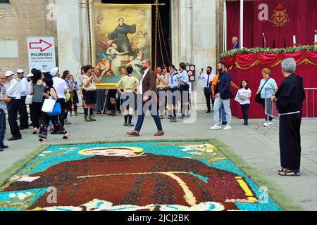 Padua, 13. Juni 2022. St. Anthony Feast. Blumenteppich, der den heiligen Antonius darstellt. Der Blumenteppich wurde von den Künstlern der toskanischen Stadt Fucecchio auf dem Kirchhof der Basilika hergestellt Stockfoto