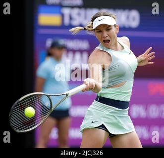 13.. Juni 2022; Edgbaston Priory Club, Edgbaston, Birmingham, Großbritannien; Birmingham Classic Lawn Tennis Turnier; Simona Halep ROU schreit, als sie eine Vorhand-Siegerin gegen Lesia Tsurenko UKR trifft Stockfoto