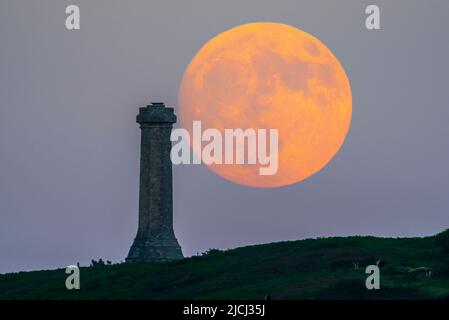 Portesham, Dorset, Großbritannien. 13.. Juni 2022. Wetter in Großbritannien. Der fast volle Strawberry Super Moon leuchtet orange, als er sich hinter dem Hardy Monument in Portesham in Dorset erhebt. Das Denkmal wurde 1844 in Erinnerung an den Vizeadmiral Sir Thomas Masterman Hardy errichtet, der Flaggenkapitän der HMS Victory bei der Schlacht von Trafalgar war. Bildnachweis: Graham Hunt/Alamy Live News Stockfoto