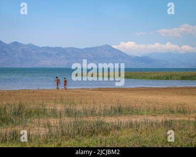 Skadar-See, Albanien - 28.07.2017: Zwei Männer laufen am Strand des Skadar-Sees entlang, der mit grünem und gelbem Gras und blauen Bergen bedeckt ist Stockfoto