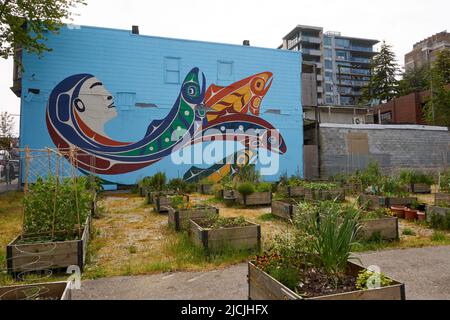 Ein Gemeindegarten und ein Wandgemälde der Force of Nature des First Nations-Künstlers Phil Gray im Viertel South Granville in Vancouver, BC, Kanada Stockfoto