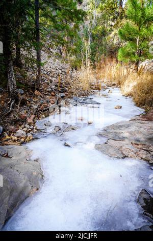 Panoramasicht auf einen gefrorenen Bach im Grasshopper Canyon in New Mexico Stockfoto