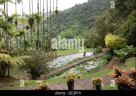 Fort De France, Frankreich. 30. April 2022. Im botanischen Garten Jardin de Balata stehen die Besucher an einem Wasserbecken. Quelle: Sebastian Kahnert/dpa/Alamy Live News Stockfoto