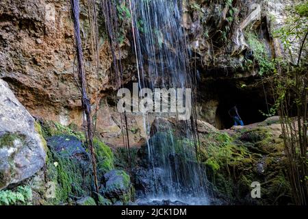 Paradies Verloren In Kiambu County Kenia Ostafrika Stockfoto