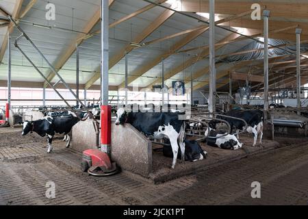 Moderner Farmfarm im Norden Sevonias in Finnland Stockfoto