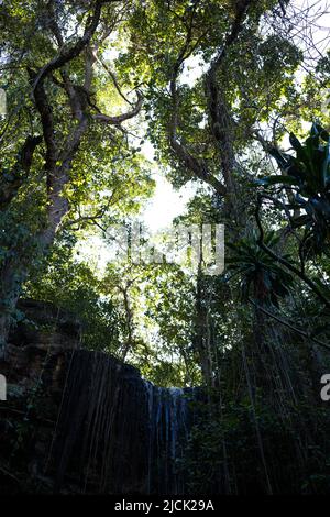 Paradies Verloren In Kiambu County Kenia Ostafrika Stockfoto