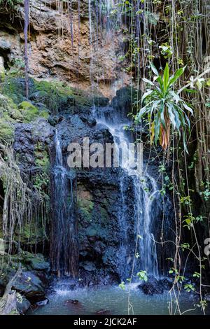 Paradies Verloren In Kiambu County Kenia Ostafrika Stockfoto