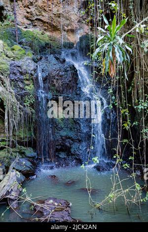 Paradies Verloren In Kiambu County Kenia Ostafrika Stockfoto